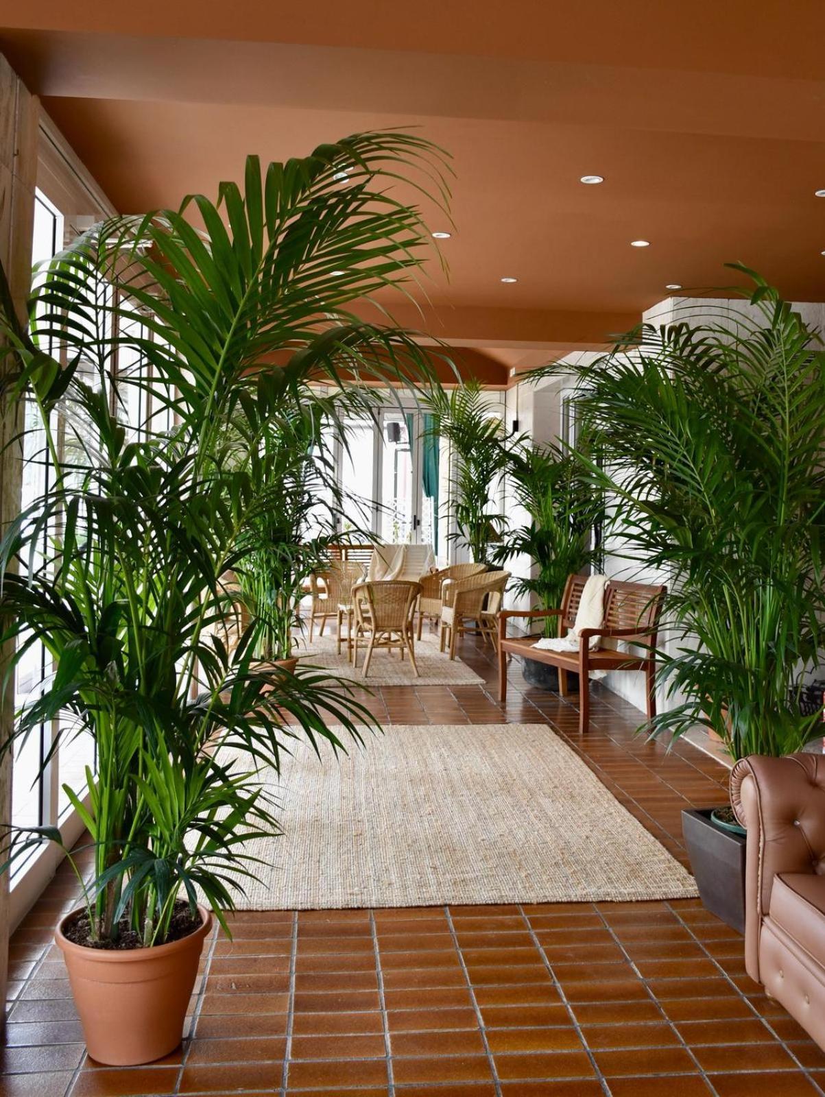 לידו די ג'סולו Hotel Portofino מראה חיצוני תמונה